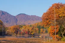 矢ノ原湿原の紅葉 2026