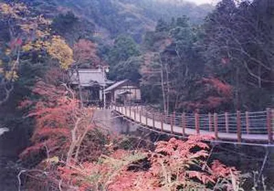 【紅葉・見ごろ】南房総市かじか橋 2026