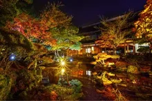 【紅葉・見ごろ】北方文化博物館（豪農の館） 2026