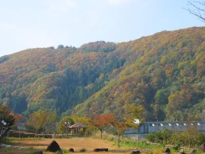 レークピア白水の紅葉 2026