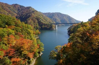 【紅葉・見ごろ】長井ダム(ながい百秋湖) 2026