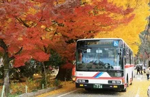 犬山紅葉ルートバス 2026