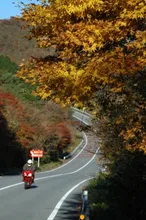 アネスト岩田ターンパイク箱根の紅葉 2026