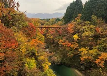玉川渓流の紅葉 2026