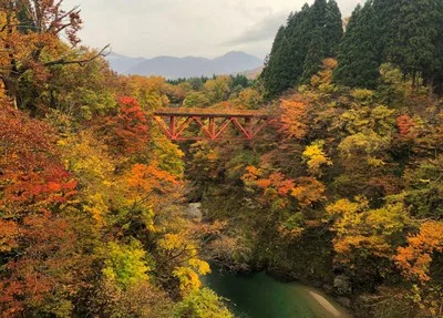 玉川渓流の紅葉 2026