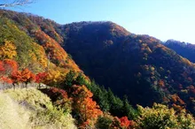 三峰山の紅葉 2026