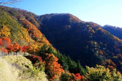 三峰山の紅葉 2026