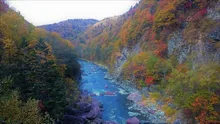 村立自然公園 赤岩青巌峡の紅葉 2026