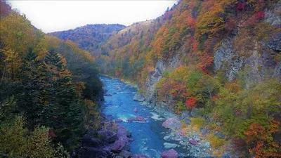 村立自然公園 赤岩青巌峡の紅葉 2026