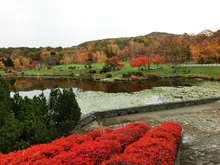 北海道子どもの国の紅葉 2026