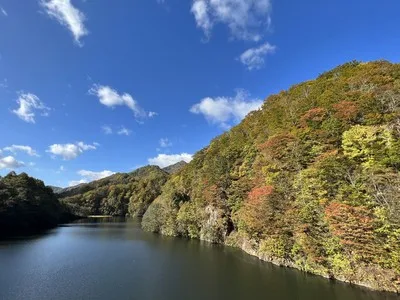 鳥崎八景の紅葉 2026
