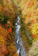 磐梯吾妻レークライン(中津川渓谷)の紅葉 2026