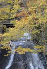 【紅葉・見ごろ】ラルマナイの滝 2026