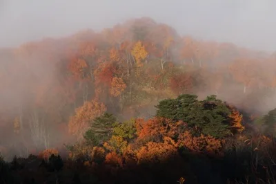 白川湖周辺の紅葉 2026