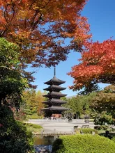 定義如来西方寺(定義さん)の紅葉 2026