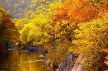 滝上渓谷 錦仙峡の紅葉 2026