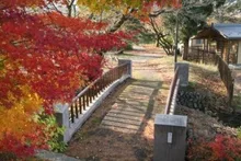 【紅葉・見ごろ】あやめ公園 2026
