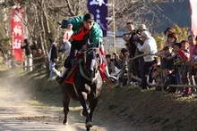 芳養八幡神社 秋祭 2026