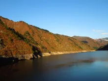 【紅葉・見ごろ】笠堀ダム周辺 2026