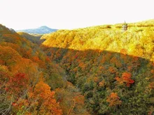 【紅葉・見ごろ】新登別大橋 2026