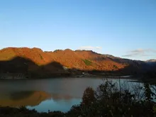 【紅葉・見ごろ】大谷ダム周辺 2026