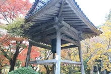 大洞院 もみじまつり 2026