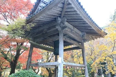 大洞院 もみじまつり 2026