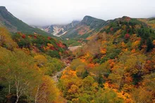 十勝岳温泉郷の紅葉 2026