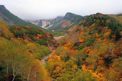 十勝岳温泉郷の紅葉 2026