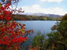 裏磐梯高原(桧原湖付近)の紅葉 2026