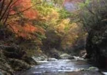 芦川渓谷の紅葉 2026