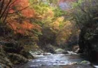 芦川渓谷の紅葉 2026