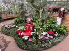 花の展示温室 　クリスマスガーデン 2026