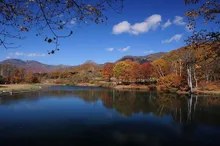 笹ヶ峰高原の紅葉 2026