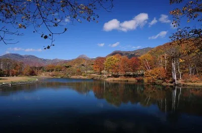 笹ヶ峰高原の紅葉 2026