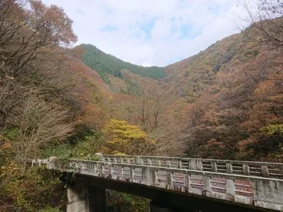 【紅葉・見ごろ】小俣渓谷 2026