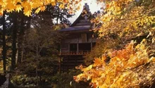 【紅葉・見ごろ】佐渡　清水寺（せいすいじ） 2026