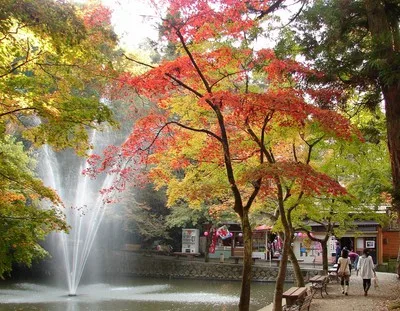 加茂山公園の紅葉 2026