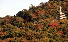 香貫山の紅葉 2026