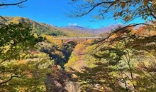 【紅葉・見ごろ】雪割橋 2026
