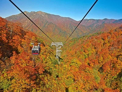 【紅葉・見ごろ】谷川岳ヨッホ 2026
