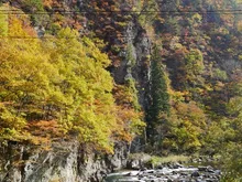 綱木渓谷の紅葉 2026