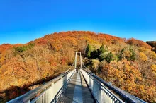 横川渓谷の紅葉 2026