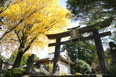 英彦山の紅葉
