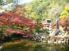 【紅葉・見ごろ】近水園 2026