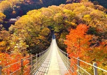 【紅葉・見ごろ】龍宮崖公園 2026