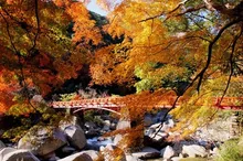 【紅葉・見ごろ】奇絶峡 2026