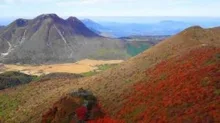 【紅葉・見ごろ】くじゅう連山 2026