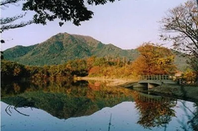 【紅葉・見ごろ】角田山 2026