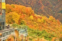 ザ・ヴェランダ石打丸山の紅葉 2026